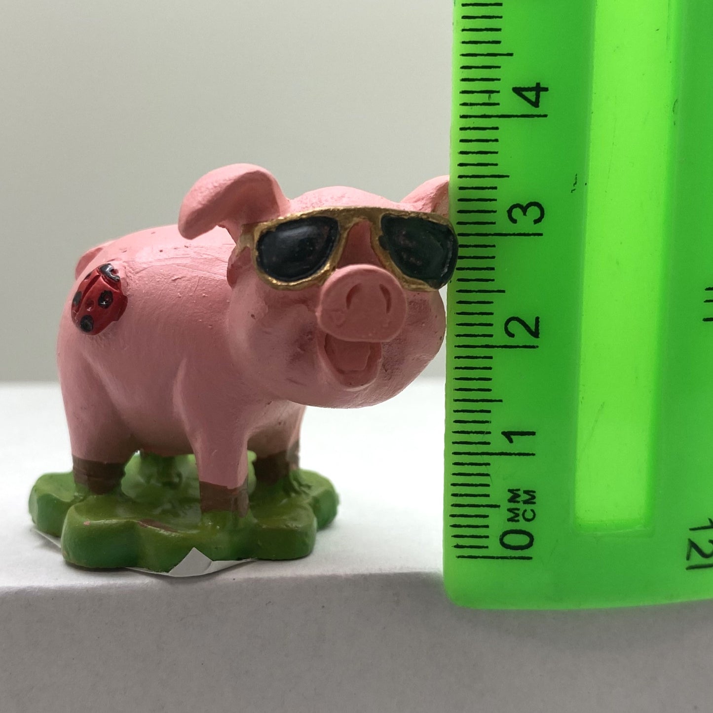 Innenmodell "Schwein mit Marienkäfer-Marke" - 40 x 45 mm